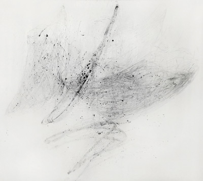 Topology, 4D, 4, Dimensions, moebius, band, Topologie, bande, de, Moebius, Dessin, Imprimante, Print, Scan, Drawing, Technique, Study, Watercolor, ink, watercolour, geometry, perspective, two, point, one, point, three, point, four, point, five, point, inhale, soap, art, metonimie, emblem, animal, slab, image, word, game, scib, scripture, science, recursive, void, tresse, braid, verdon, garden, series, landscape, human, body, grid, stan, hair, body, metric, quantum, mechanics, Russian, ludus, ludique, insomnia, burn, out, skin, flesh, meat, headless, baseball, series, ligue, horny, tail, nude, htmal, stool,  art, painting, lithography, alimentation, xibalba, boar, wild, forrest, woods, patch, collage, graphite, , papermache, disc, card, acrylic, knot, wood, mud, babirusa, pig, charcoal, calcinations, fire,   fragment, burn, out, anamorphosis, ball, fingerprint, paper, support, hexachrome, drained, scratchboard  